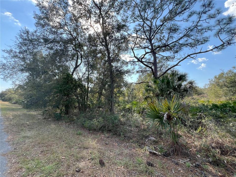 En Venta: $28,900 (1.16 acres)