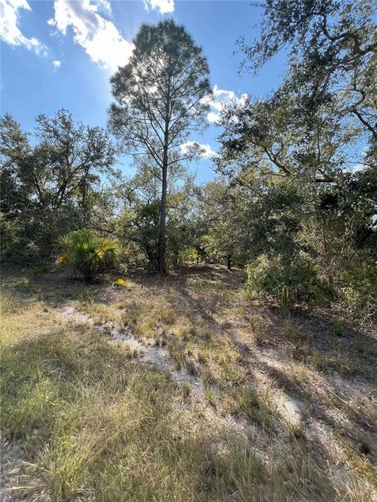 For Sale: $28,900 (1.16 acres)