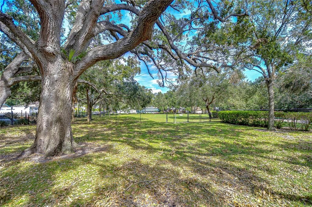 Active With Contract: $550,000 (3 beds, 1 baths, 1930 Square Feet)