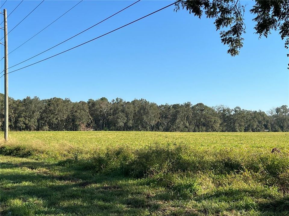 Recently Sold: $235,000 (23.50 acres)