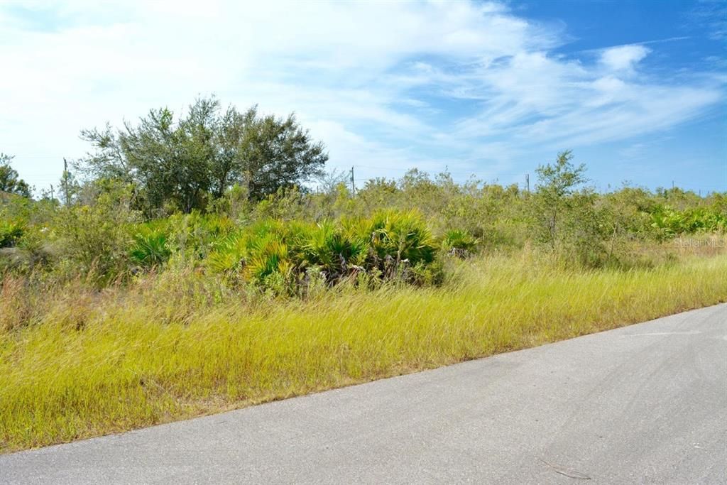 En Venta: $25,000 (0.25 acres)