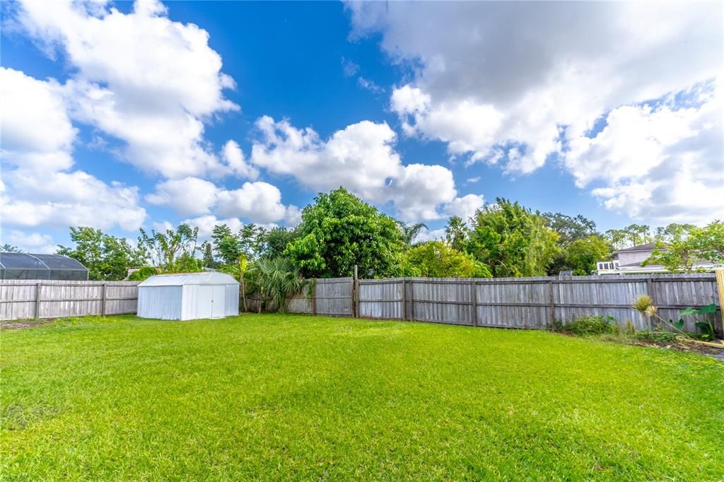 Backyard & Shed