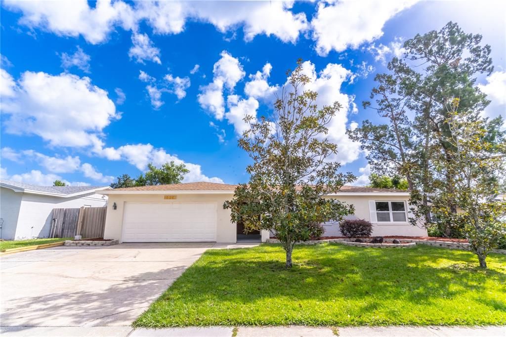 Front Yard & Exterior