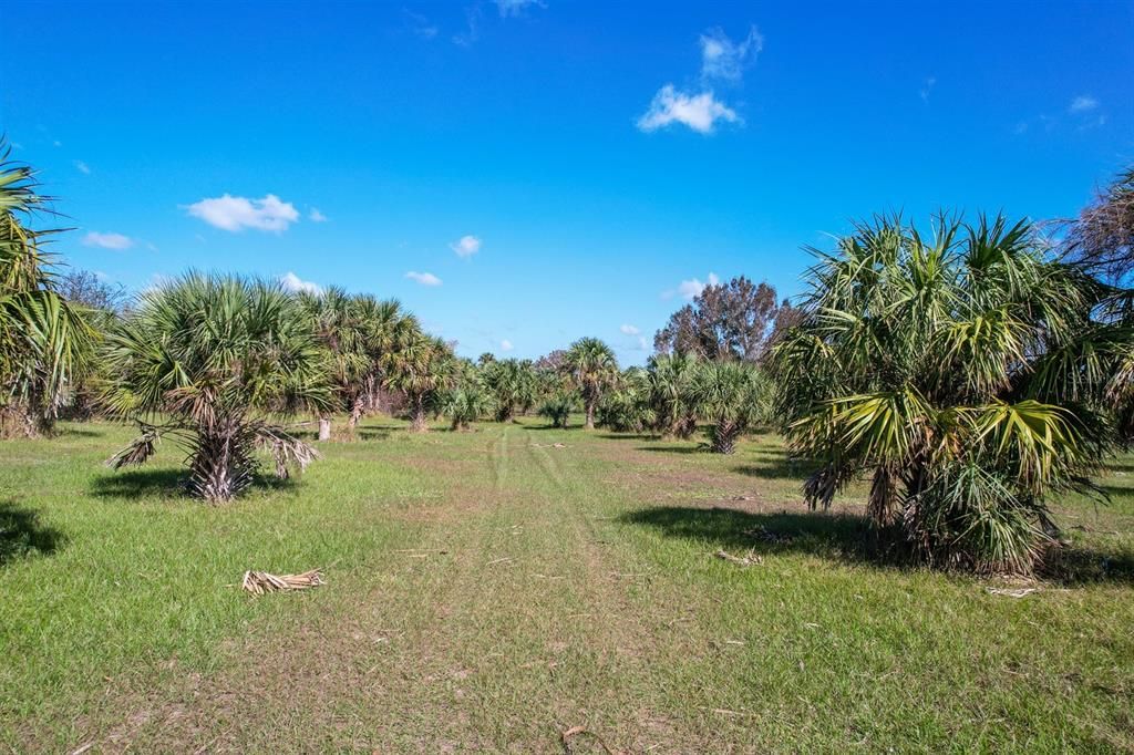 For Sale: $419,000 (11.81 acres)