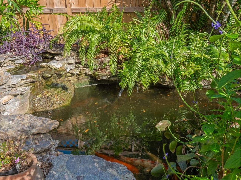 Koi Pond