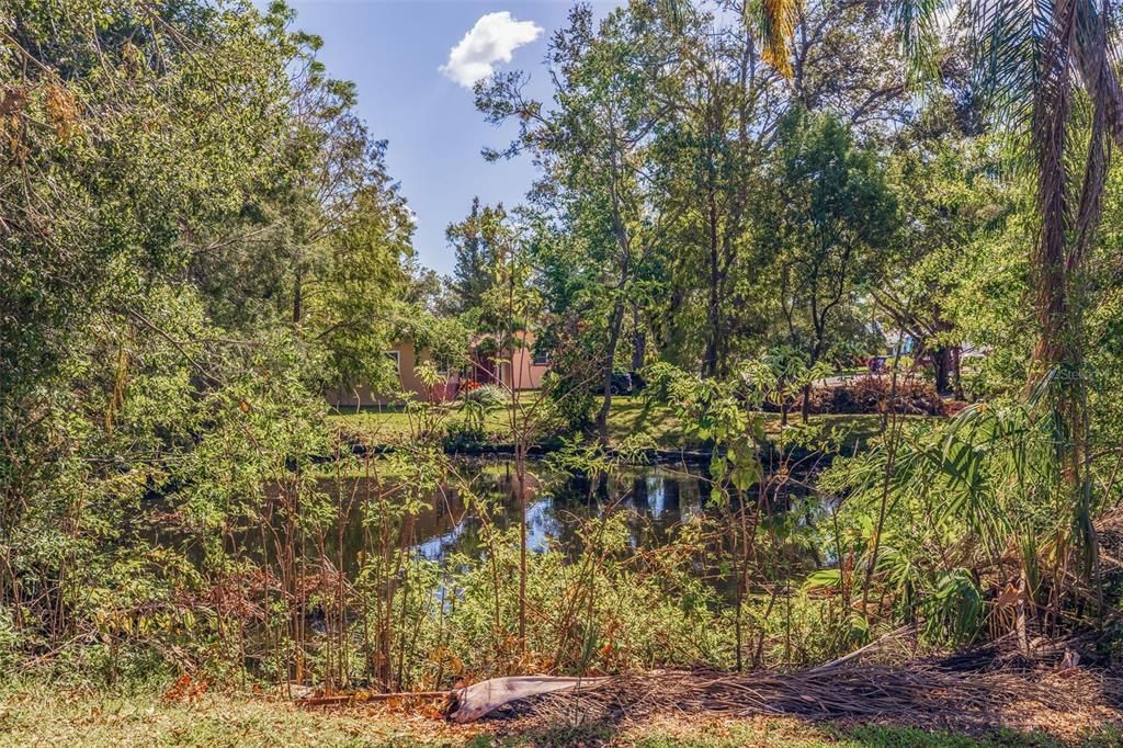 Pond at rear of building with fountain