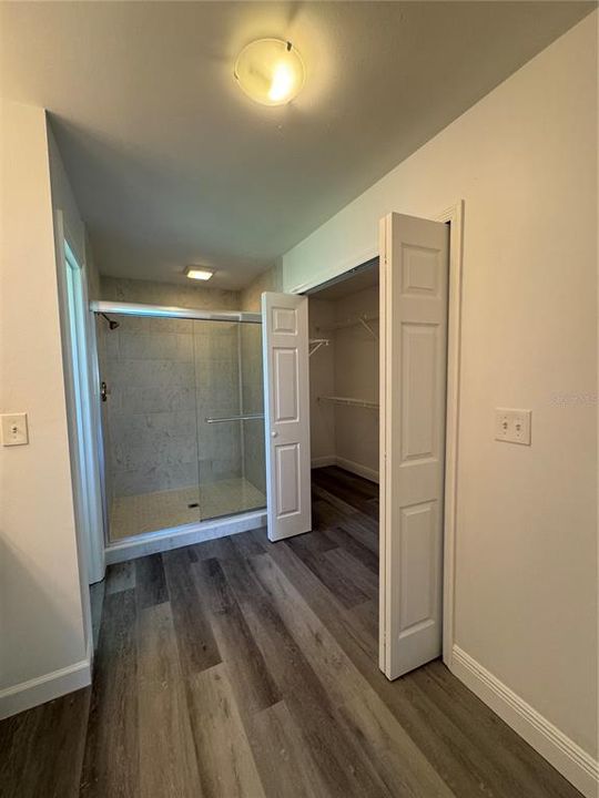 Master Walk-in closet