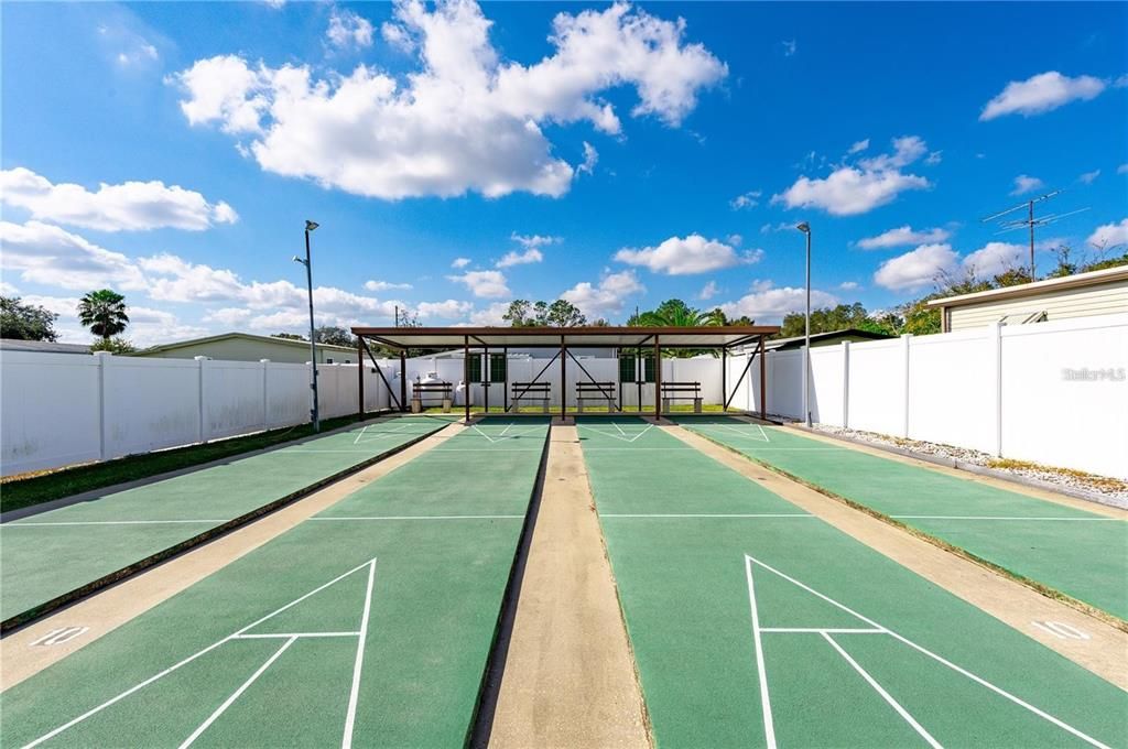 Community Shuffleboard