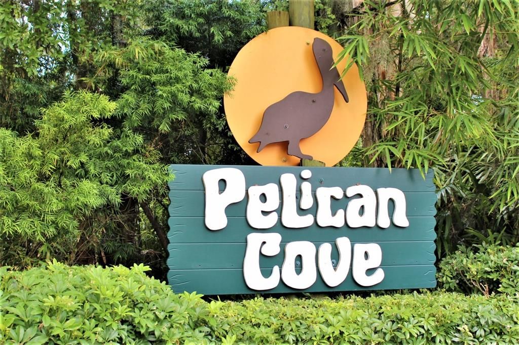 Pelican Cove