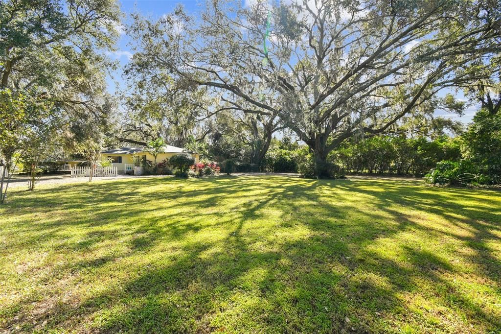 For Sale: $469,000 (3 beds, 2 baths, 1668 Square Feet)