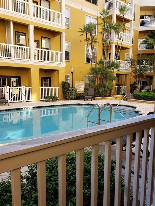 Pool view from patio