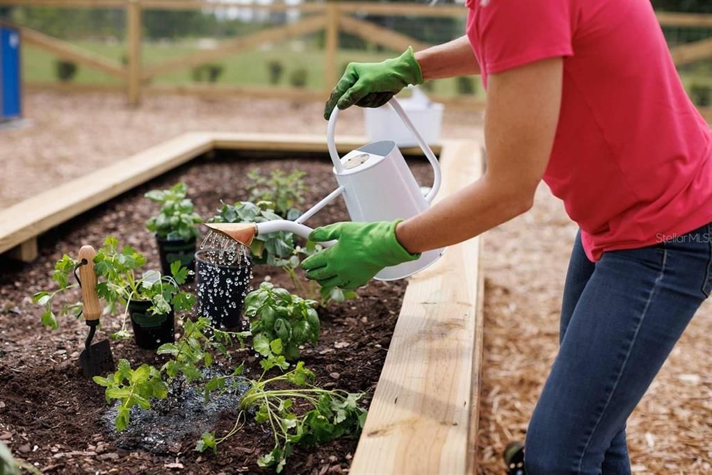 Community Garden