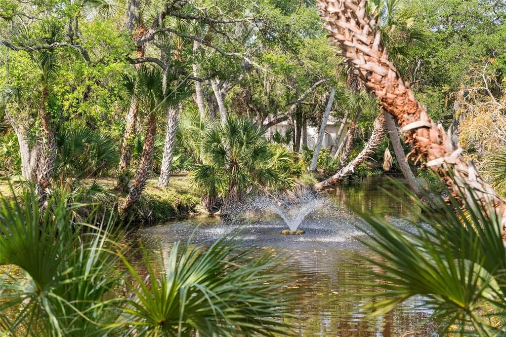 Neighborhood Pond with Fountain sits in middle of neighborhood