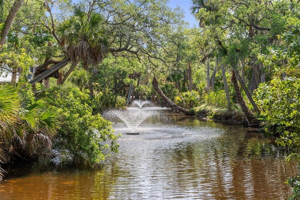 Neighborhood Pond