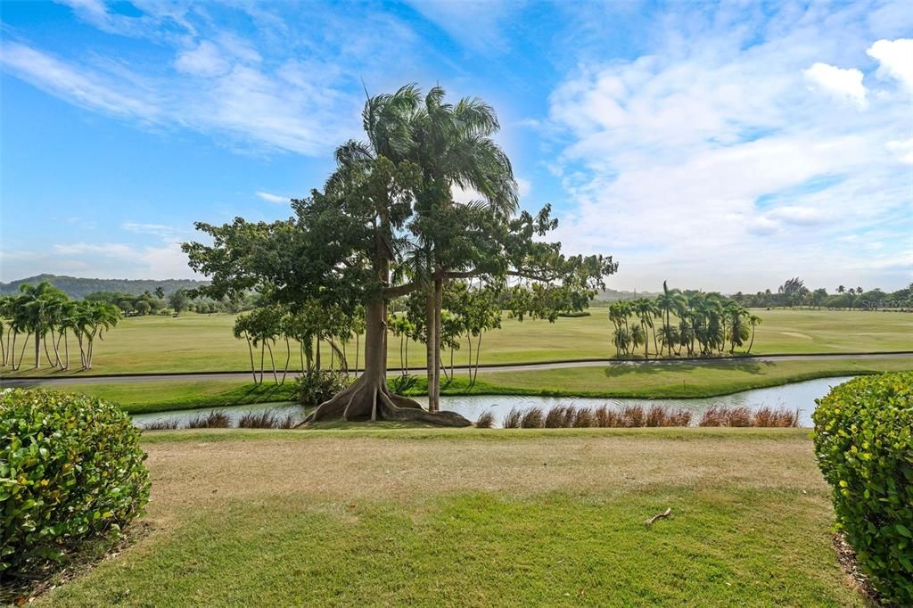 For Sale: $3,250,000 (3 beds, 3 baths, 1886.51 Square Feet)