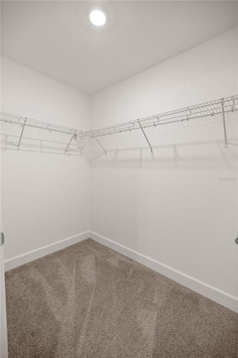 Primary Bedroom Walk-In Closet