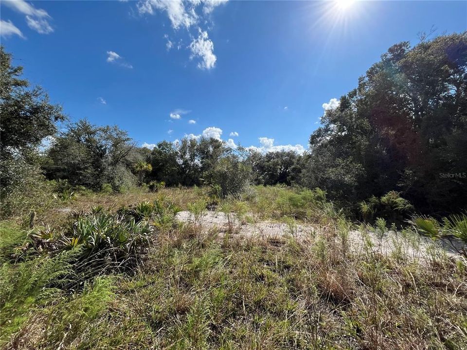 For Sale: $49,900 (2.50 acres)