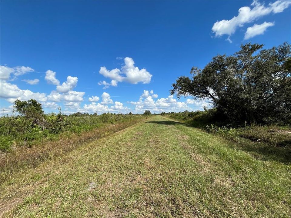 For Sale: $49,900 (2.50 acres)