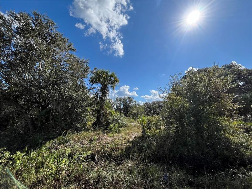 En Venta: $49,900 (2.50 acres)