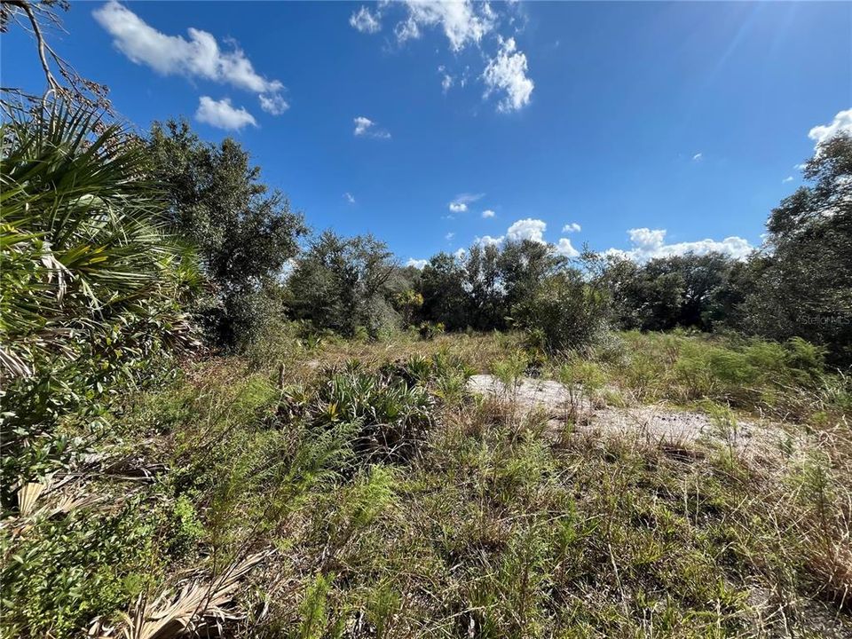 En Venta: $49,900 (2.50 acres)