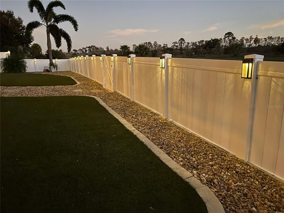 Beautiful solar lights along fence in back yard