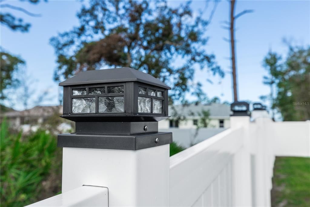 Solar lighting all along the fence and in the yard