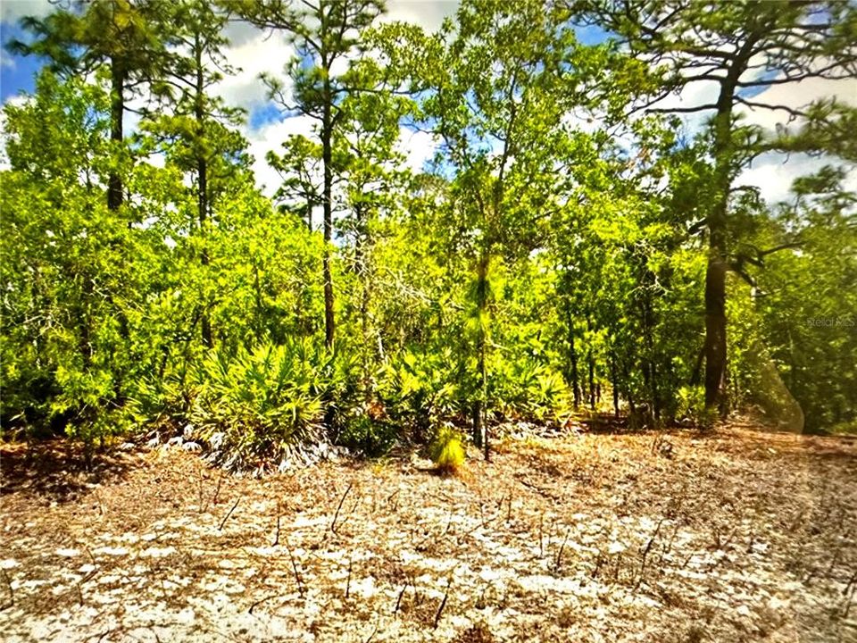 Recently Sold: $72,500 (1.40 acres)