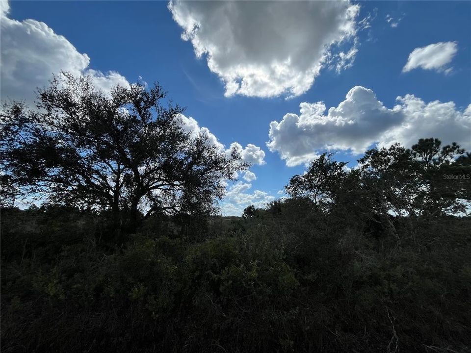 En Venta: $21,900 (1.50 acres)