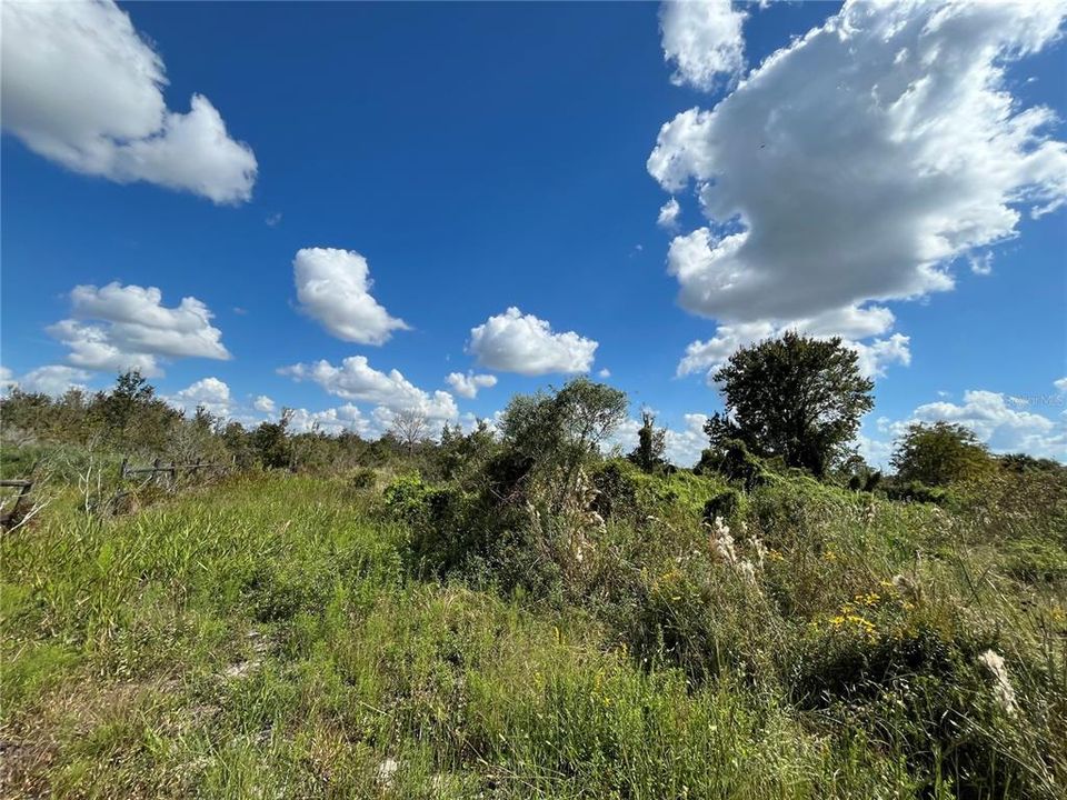 Active With Contract: $17,900 (1.50 acres)