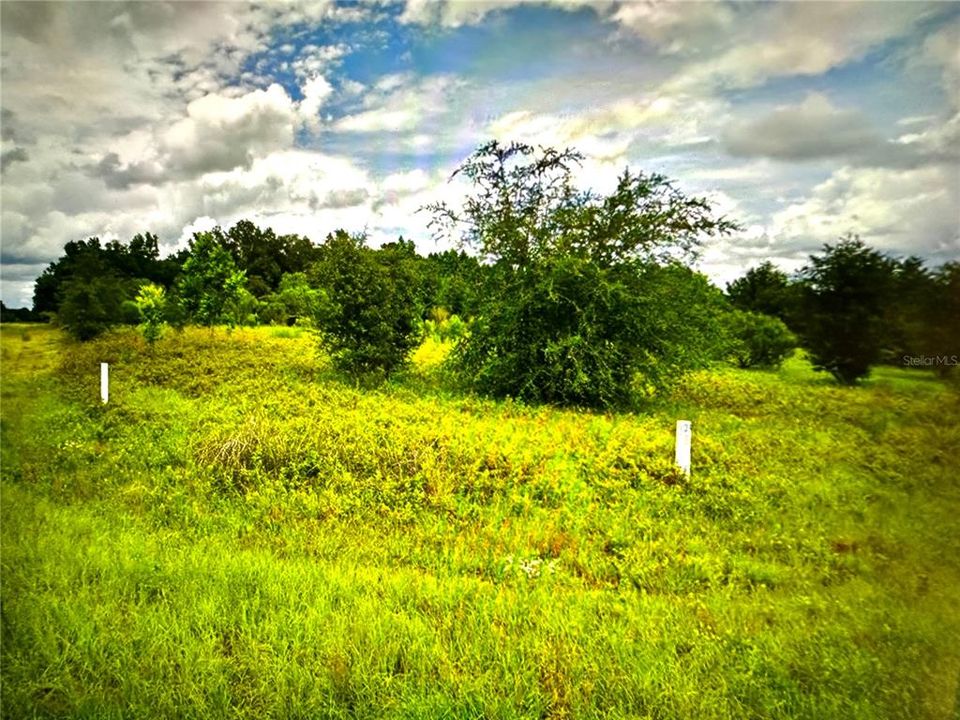 最近售出: $72,000 (5.01 acres)