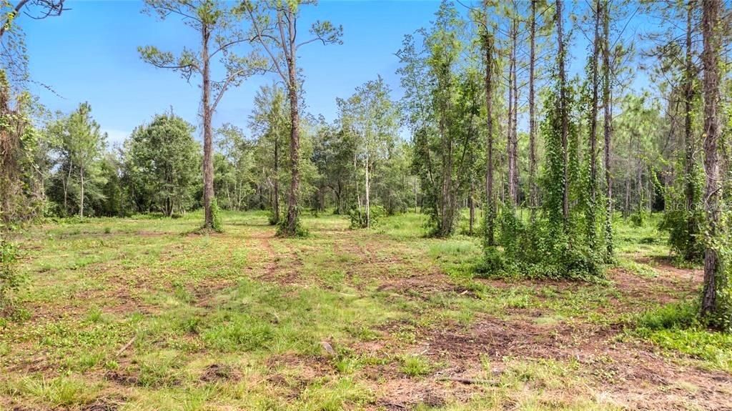 На продажу: $250,000 (10.29 acres)