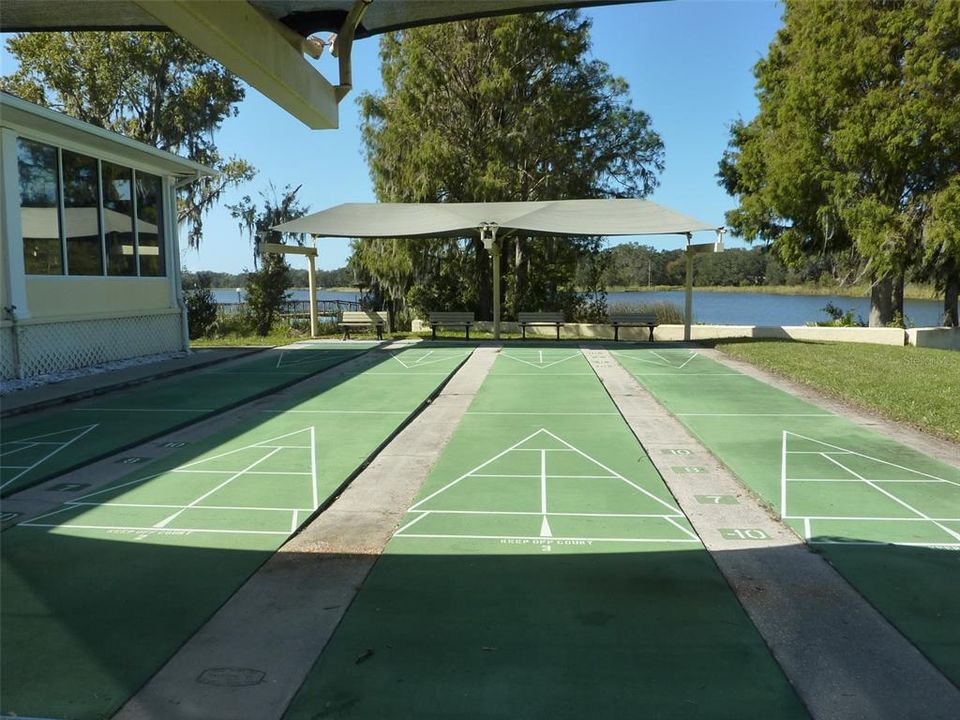 Shuffleboard