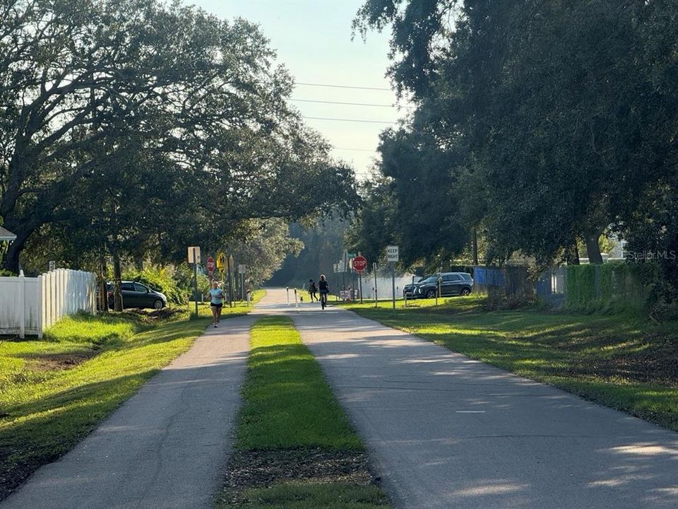 Pinellas Trail next to 177 facing south