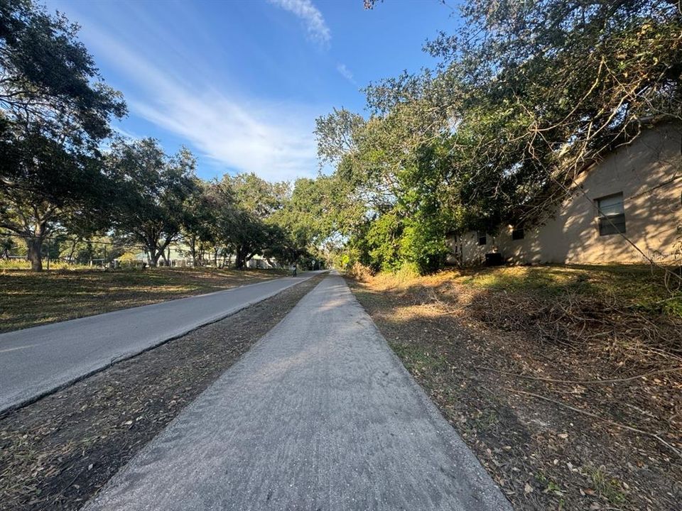 Pinellas Trail next to 177 facing north