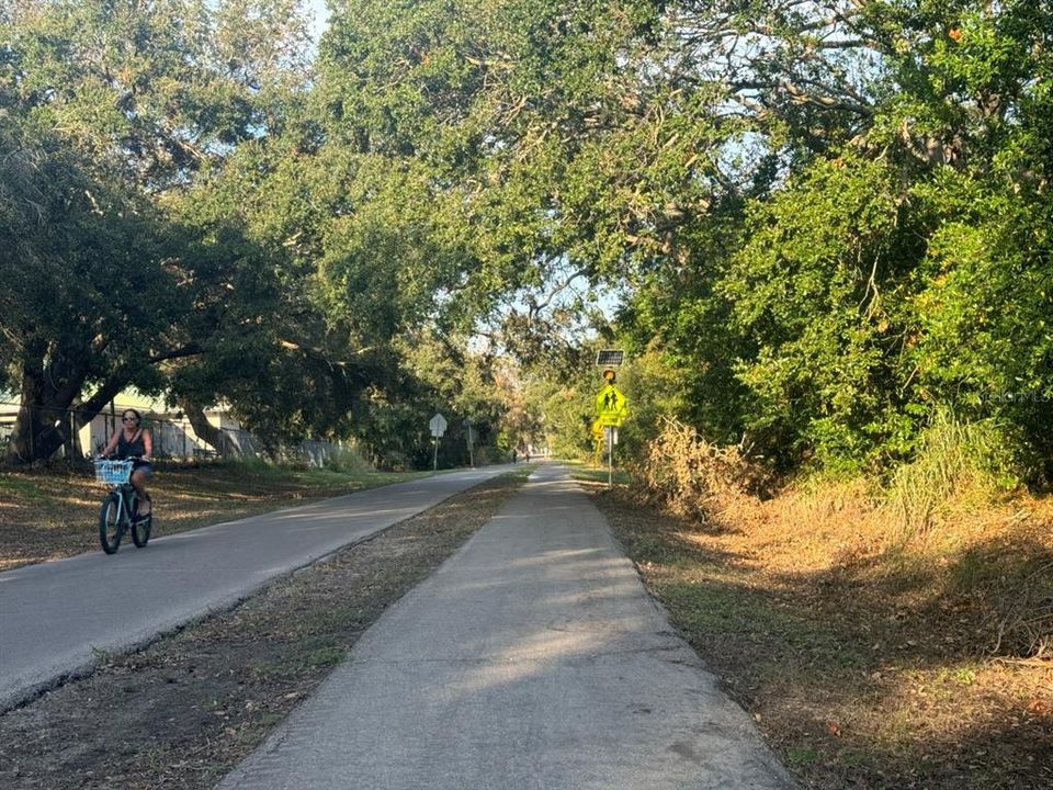 Pinellas Trail next to 177 facing north