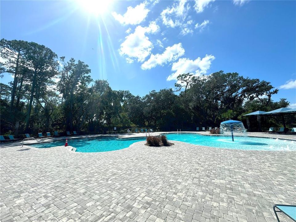 Community Gated Swimming Pool with Lawn Chairs