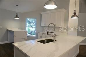 Kitchen - Quartz countertops