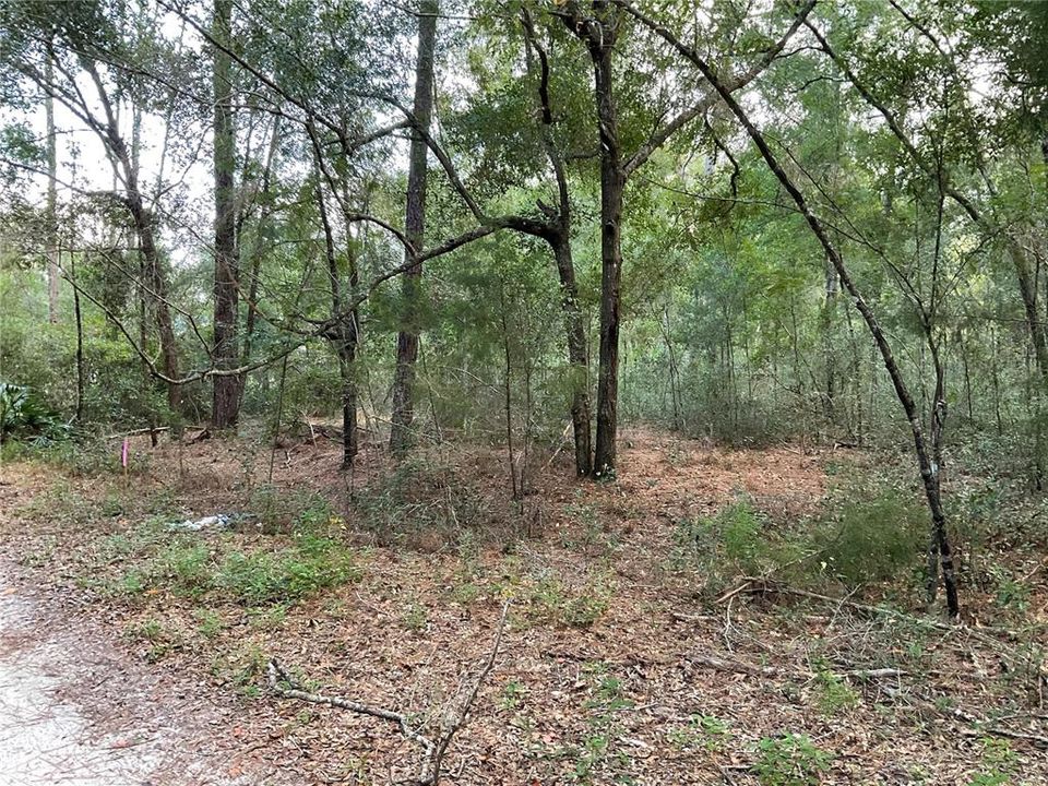 En Venta: $18,900 (0.24 acres)