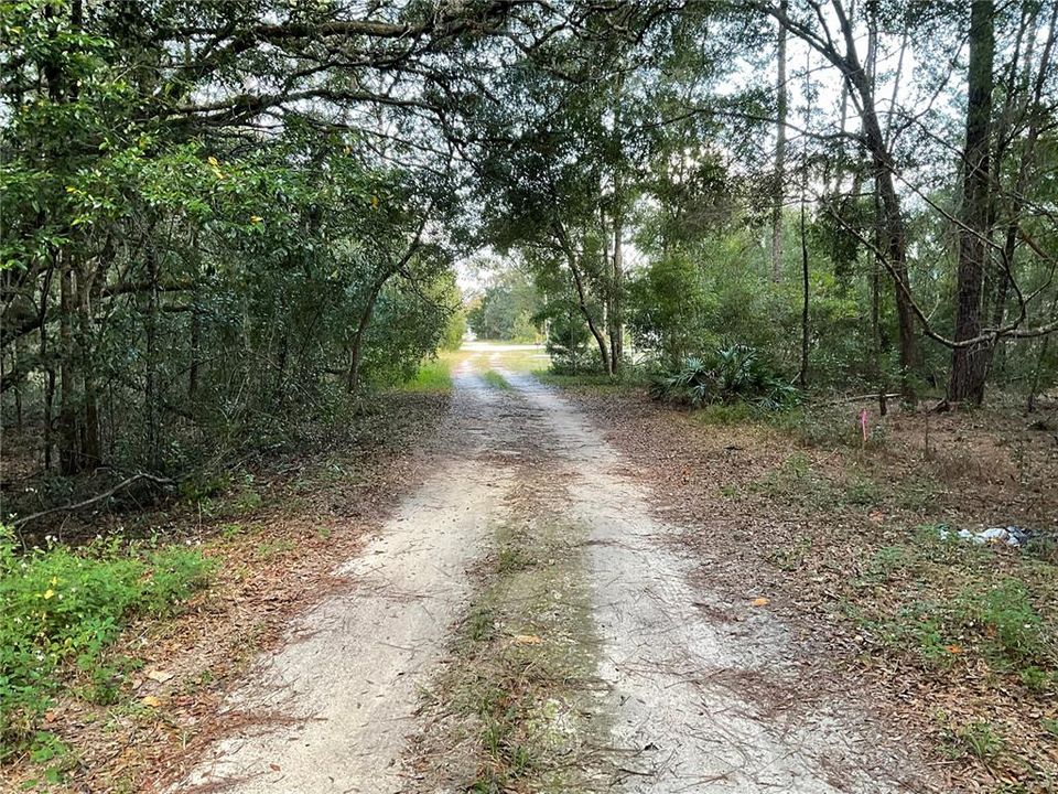 looking east, new houses on the right at 146 Ct