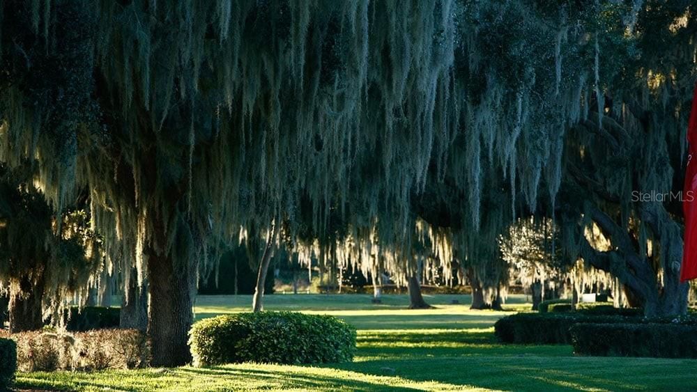 MATURE COMMUNITY LANDSCAPING