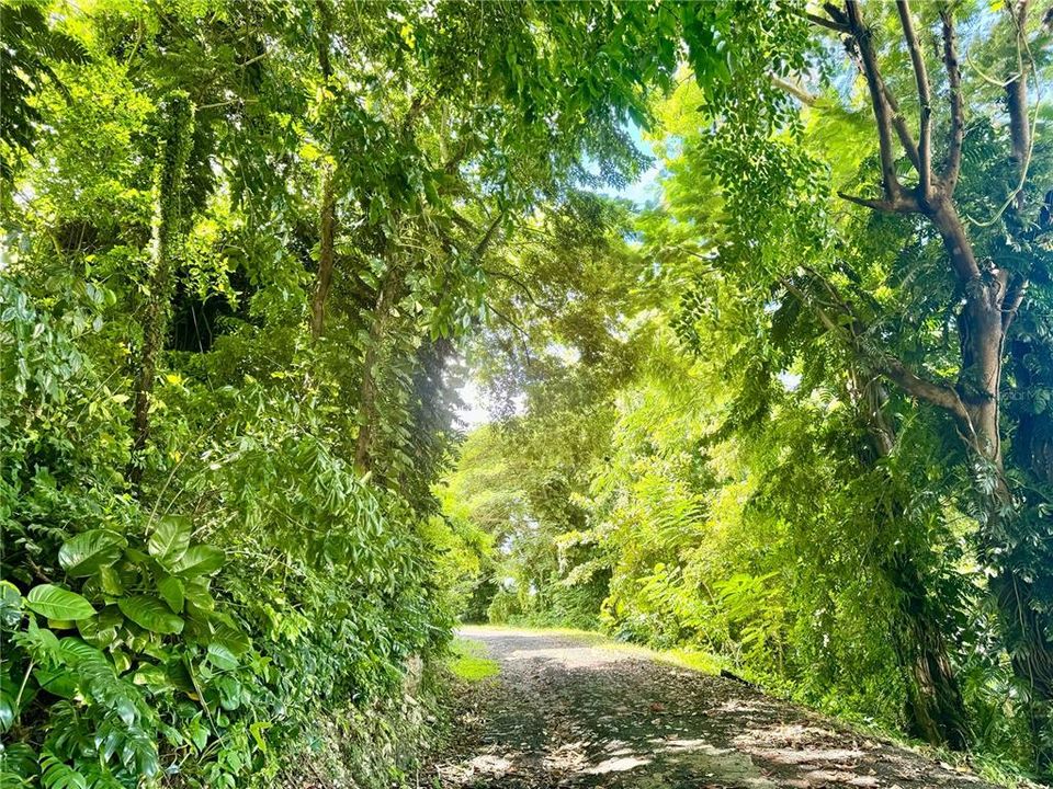 На продажу: $750,000 (3 спален, 2 ванн, 2109 Квадратных фут)