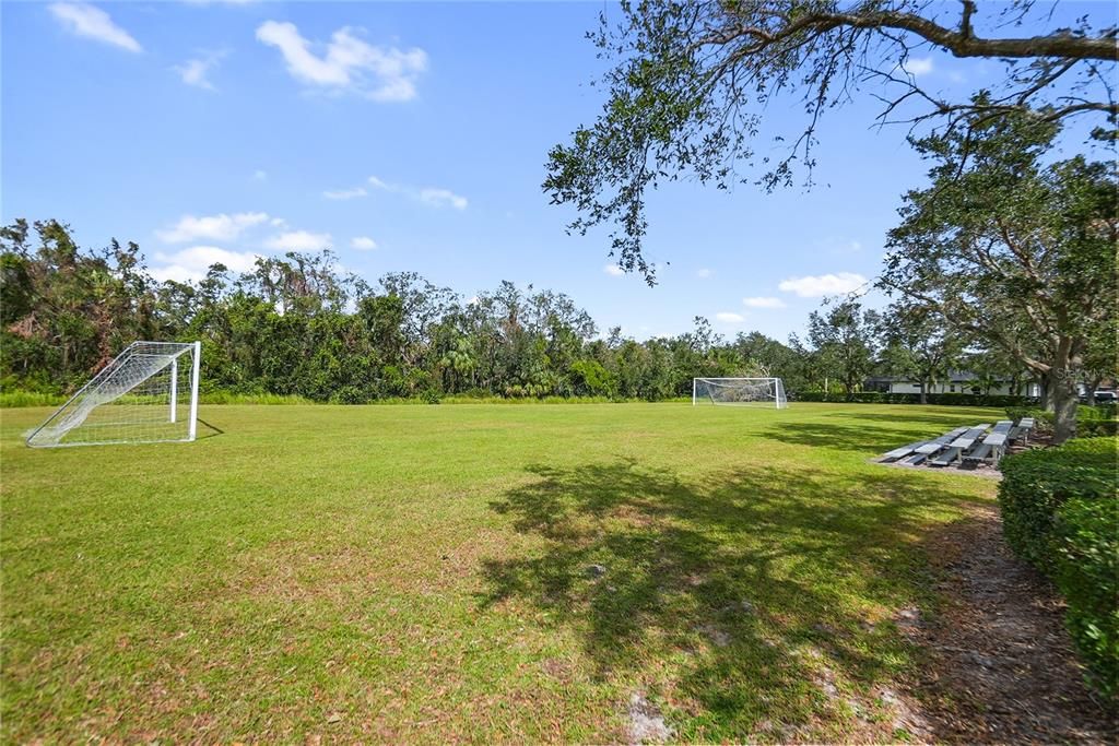 Soccer field