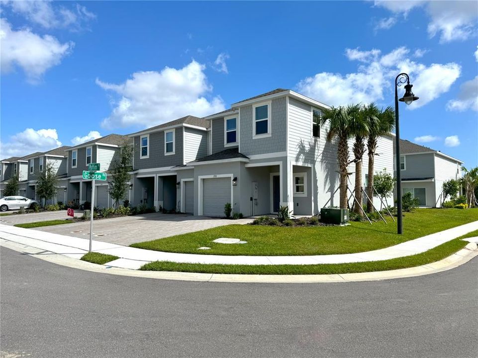 Neighborhood - View from Driveway