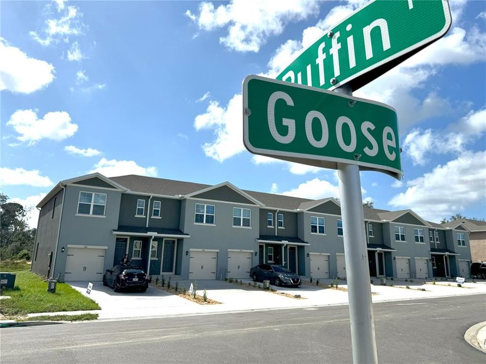 Townhomes - View from Across the Street