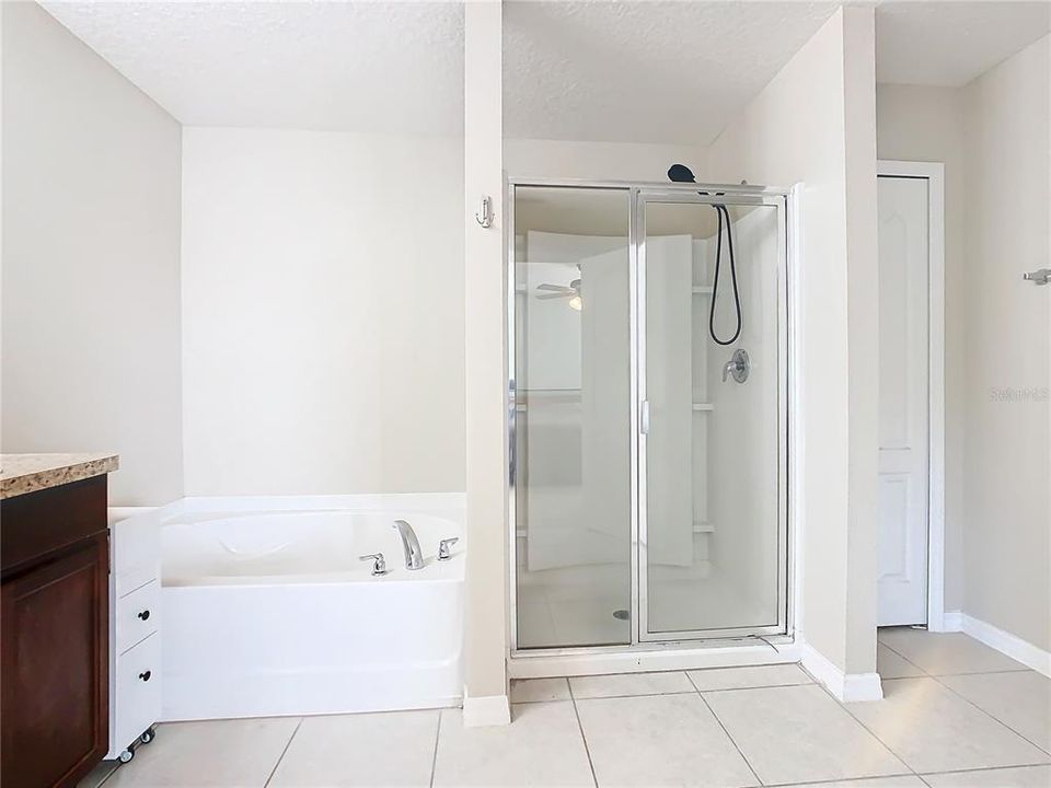 Owners En-Suite Bath with Garden tub/Shower Combo