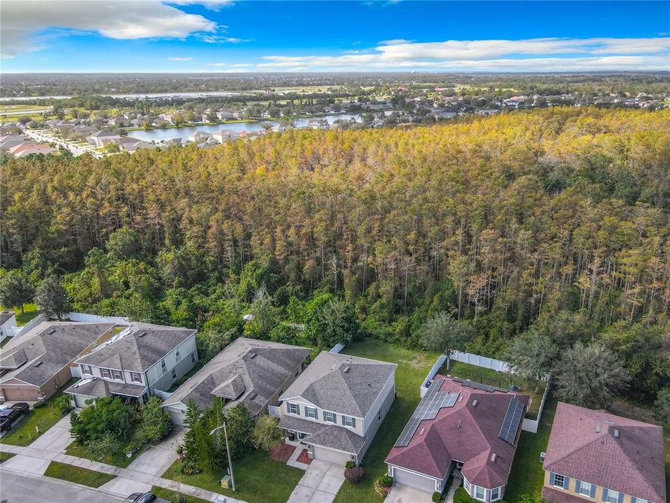 Aerial of Conservation behind home