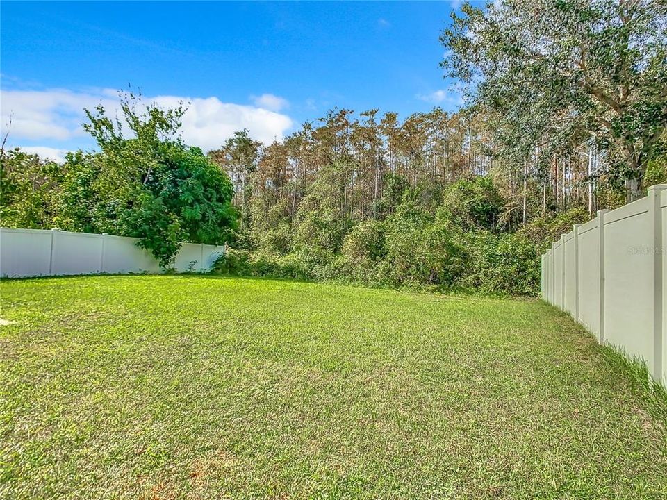 Spacious Backyard with Conservation behind.