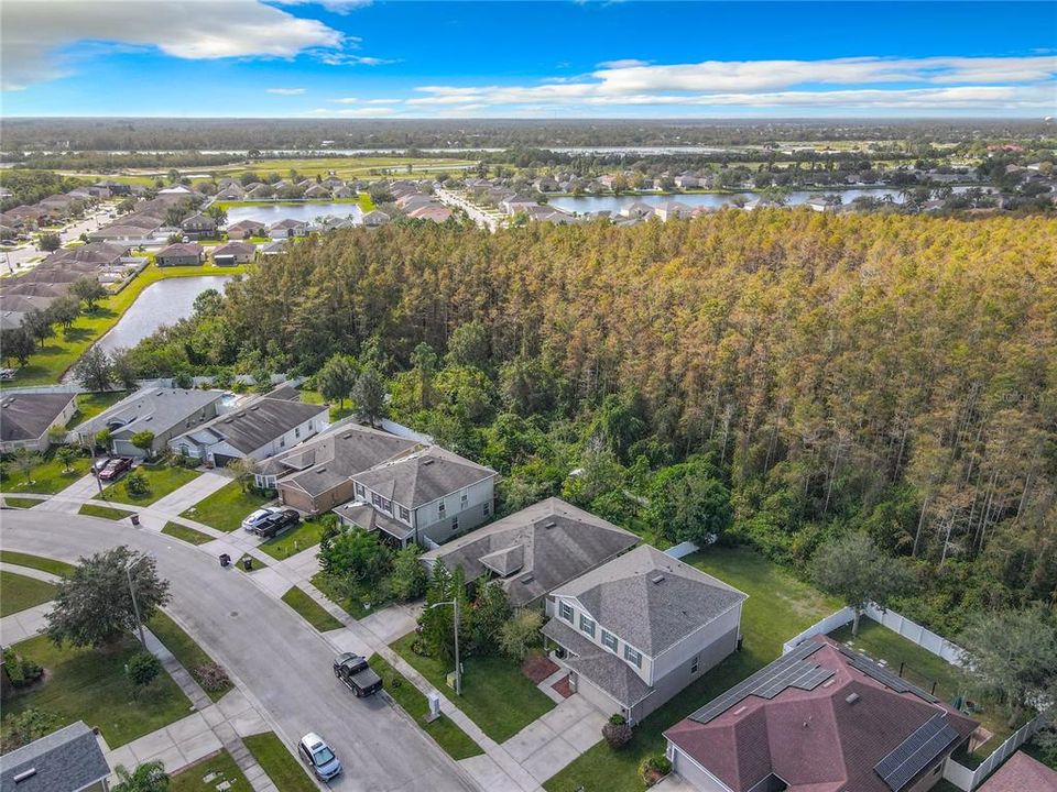 Aerial of Conservation behind home