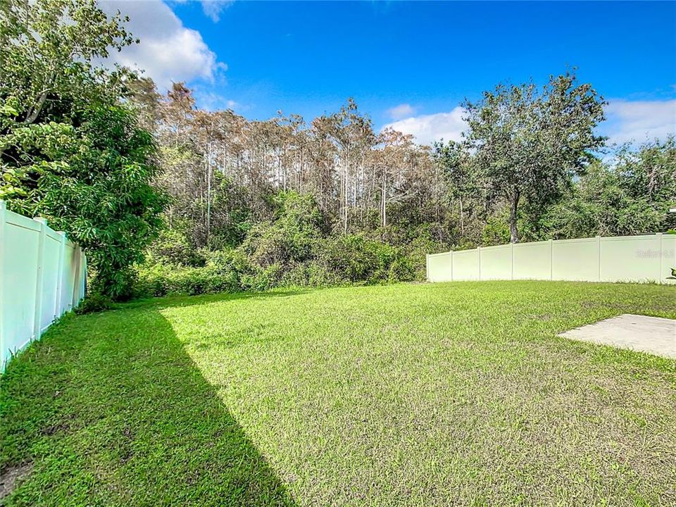 Spacious Backyard with Conservation behind.