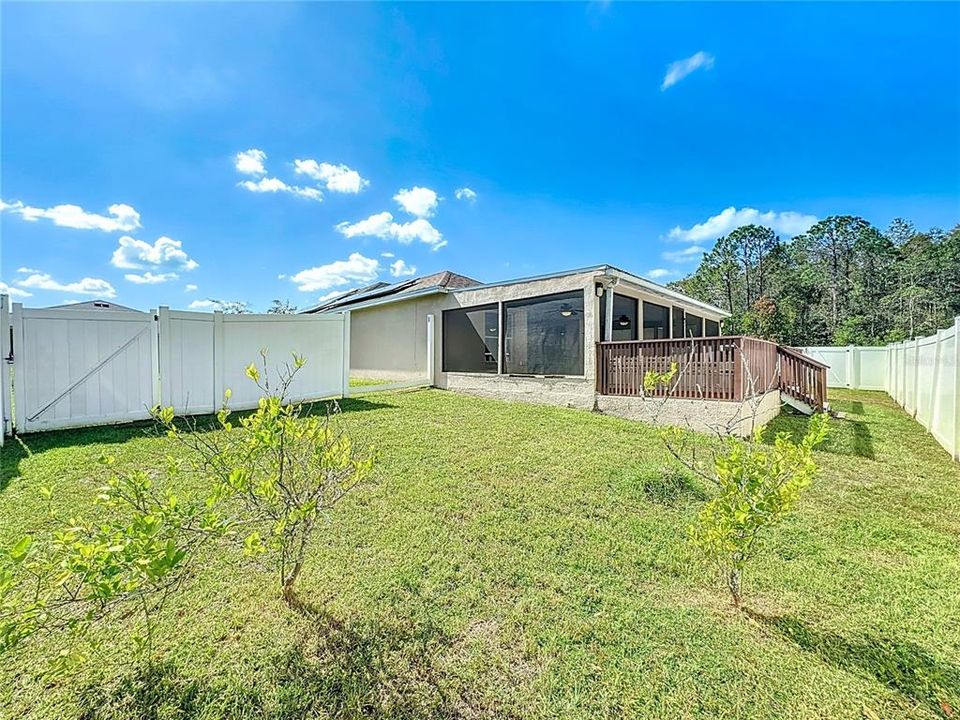 Fenced Backyard for Pets and Kids